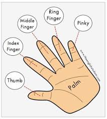 Names Of Fingers Esl Vocabulary Learnenglish Http Www Uniquelanguages Com English English Vocabulary English Language Learning English Language Teaching