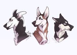 Some Headshots Canine Art Dog Art Animal Drawings