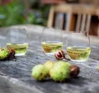 RIEDEL The O Wine Tumbler Viognier/Chardonnay