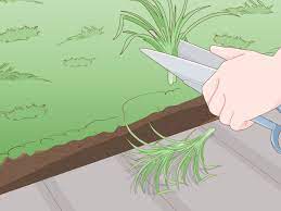 The craftsman cmxgkame30a gas edger is the simplest way to put the finishing edge on your lawn. How To Use A Lawn Edger 14 Steps With Pictures Wikihow