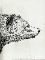 Not Found Bear Art Animal Art Art