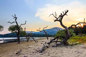 Kalipur Beach, North Andaman