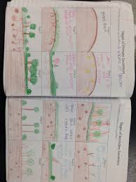 Primary And Secondary Succession Picture Notes Kesler Science Secondary Succession Ecological Succession Earth Science Middle School