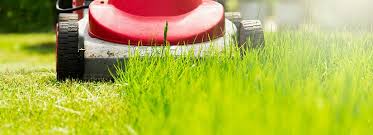 Image result for when to apply summer lawn treatment