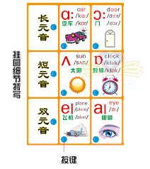 Intellectual English Phonetic Transcription With Wall Charts Primary School Students Junior High School Students 48 International Phonetic Alphabet