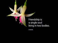 short quotes about friendship http://www.goodmorningquote.com ... via Relatably.com