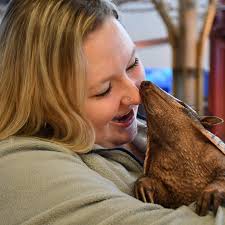 Little Cinco de Milo update in Lancaster and Rehoboth