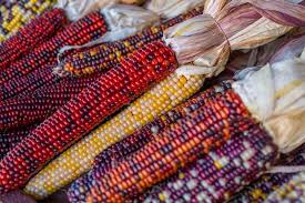 Why is thanksgiving always on a thursday. Thanksgiving 2020 Thanksgiving Date History Recipes The Old Farmer S Almanac