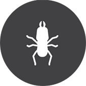 Please try again later, or report it to our customer service team. Home Pest Control And Defense Hometeam Pest Defense