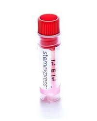 Peripheral Blood Mononuclear Cells Breast Cancer Frozen Stemexpress Wrap frozen bottles in paper towels if you're on the go, and you don't mind a slow thaw. stemexpress