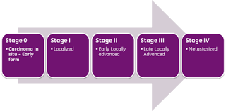 Stage iv cancer, also known as stage 4 cancer, is a serious disease that requires immediate expert care. Cancer Staging Wikipedia