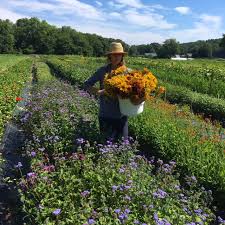 Take the flowers with you to arrange elsewhere. Red Fire Farm Flowers From The Farm
