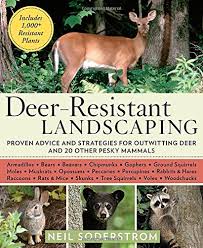 Proven advice and strategies for outwitting deer and 20 other pesky mammals. Deer Resistant Landscaping Proven Advice And Strategies For Outwitting Deer And 20 Other Pesky Mammals Soderstrom Neil 9781594869099 Amazon Com Books
