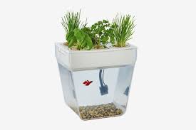 If you dig herbs, here are your best options for best for beginner gardeners: 15 Best Indoor Garden Kits 2021 The Strategist