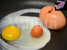 Rasa macam senang saja nak buat, tak sebab selalu terlebih masak jadi lah telur rebus. Telur Ada Kuman Kalau Sistem Imun Tak Kuat Jangan Makan Telur Separuh Masak Mingguan Wanita