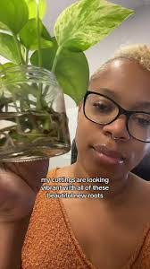 Bryan Villasenor's Instagram, Twitter & Facebook