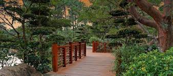 Morikami Museum And Japanese Gardens 4000 Morikami Park Rd Delray Beach Fl 33446 Japanese Garden Garden Bridge Delray Beach