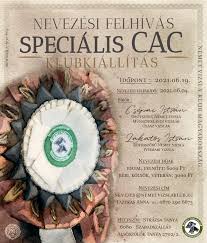 A változékonyság igen jellemző párizs időjárására. Nemet Vizsla Klub Magyarorszag Startseite Facebook