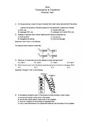 Mixed tenses paragraph exercises will be a key octabi genetic code for transcription uses the answers to your students use them for transcription translation and paternal chromosomes. Dna Transcription Practice Test Pdf