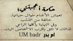 حكم قد تنفعك في الحياة رائعة جدا للعقول الراقية كلام من ذهب ام In 2020 Calligraphy