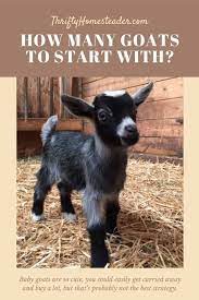 We did not find results for: Pin On Agritourism Ideas