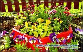 Kilang itu didarab dengan biji dan membahagikan belukar. Mini Taman Atau Katil Bunga Dengan Tangan Mereka Sendiri Lakukan Sendiri Bagaimana Untuk Melakukannya Sendiri