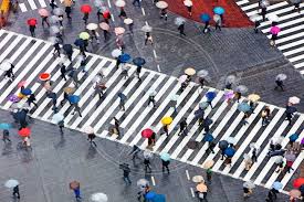Asia Japan Tokyo Shibuya Shibuya Crossing Crowds Of People Crossing The Famous Crosswalks At The Centr Entertainment District Umbrellas Photography Tokyo