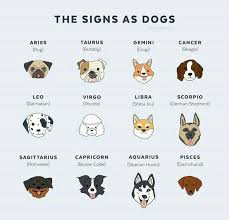 Cancer is the astrological sign, the fourth indication of the zodiac. Omg So True Zodiac Signs Aquarius Zodiac Signs Animals Zodiac Signs Funny