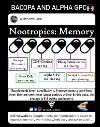 Pin By Maria Chase On Functional Medicine Improve Memory Nootropics Functional Medicine