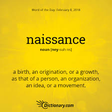 Word Of The Day Naissance Dictionary Com Words Weird Words Unusual Words