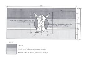 A The National Flag Kenya Law Reform Commission Klrc This image shows a flag, a coat of arms, a seal or some other official insignia. a the national flag kenya law reform