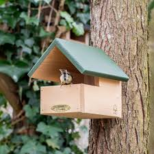 Image result for Flyte Blackbird Nest Box