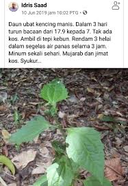 Jun 01, 2021 · anda boleh memastikan nisbah lemak badan dan ketinggian dalam lingkungan normal dengan kalkulator bmi ini. Cuba Trai Sape Yang Ubat Tradisional Melayu Original Facebook