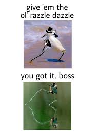 The player throws a number of marbles onto a grid of holes, and the numbers of those holes award points which it is suggested can be converted into prizes. Give Em The Ol Razzle Dazzle You Got It Boss Got Meme On Me Me
