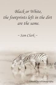 Sale Photos With Words Wildlife Photography Inspired Quote African Proverb Animal Photo N African Quotes African Proverb Photography Inspiration Quotes