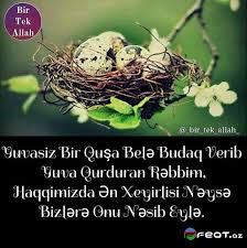 Maybe you would like to learn more about one of these? Bir TÉ™k Allah Dini Yazili SÉ™killÉ™ri 2 Yazili Sekiller Maraqli Dini Yazili Sekiller 2017