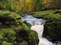 Learn more about the perilous the waters may not look all that formidable, but many people who have tried jumping the. Bolton Strid A Stream That Swallows People Amusing Planet