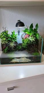 palodarium mit ultraschall vernebler 40x25x25 in niedersachsen bad zwischenahn bad zwischenahn ultraschall aquarium