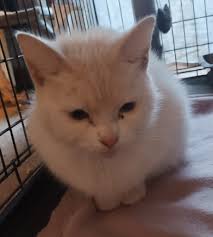 Daddy here Breaking news! I'm going to be discharged from hospital in the  next couple of hours. All my test results have come back normal and my pain  level is finally going