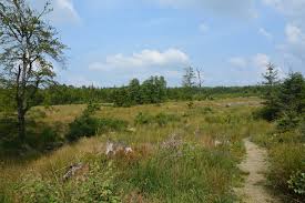From a long way down below the roar of the hill makes itself heard, but it can't drown out the twitter of the birds. Haus Ternell Vennfacetten Aachenerkinder De