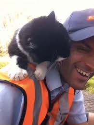 Postman Pat And His Black And White Cat Cats Cats And Kittens White Cat