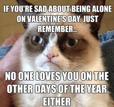 Grumpy Cat Reveals A Bitter Sweet Reality Grumpy Cat Quotes Funny Grumpy Cat Memes Grumpy Cat Humor