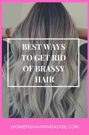 6 Best Toners For Blonde Hair Women S Hair Paradise Cool Blonde Hair Brassy Hair Toner For Blonde Hair