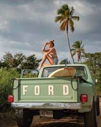 Image result for Medium Dark Spruce 1981 Ford