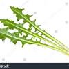 Any one of these 3 easy vegetable sides will do the trick. 1