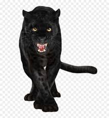 Get the best deals on animals black velvet art paintings when you shop the largest online selection at ebay.com. Black Panther Black Panther Png Animal Transparent Png Vhv