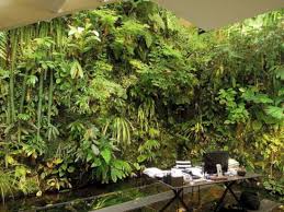 70 Exquisite Indoor Vertical Garden Design Ideas Vertical Garden Indoor Vertical Garden Design Vertical Garden