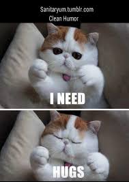 Sanitaryum Clean Funny Pics Clean Humor Photo Cute Animals Funny Cats Funny Animals