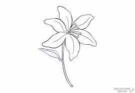 Descubra vacas animadas imágenes de stock en hd y millones de otras fotos, ilustraciones y vectores en stock libres de regalías en la colección de shutterstock. Dibujos De Orquideas 190 Lindas Y A Lapiz