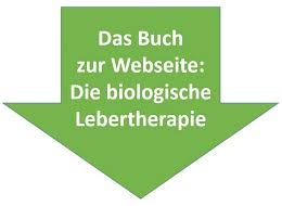 Alat Wert Gpt Wert Erhoht Was Bedeutet Das